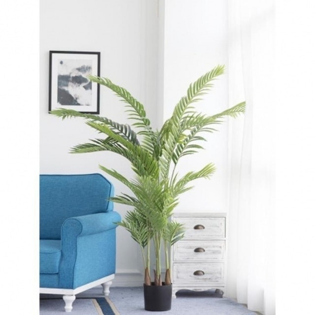 10 大仿真植物推薦排行榜 5