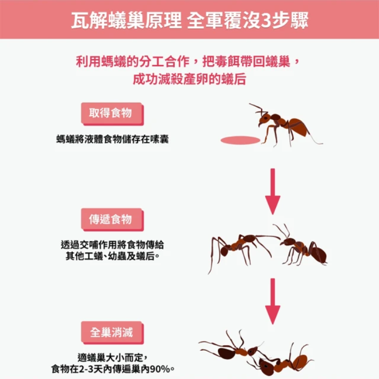 除螞蟻膏 3