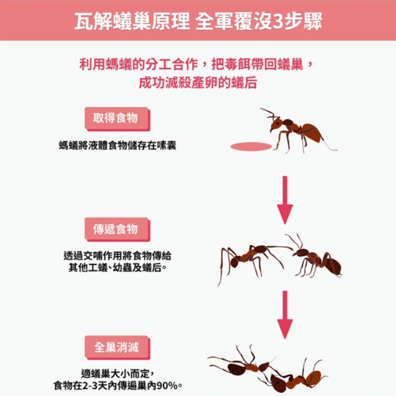 除螞蟻膏 3