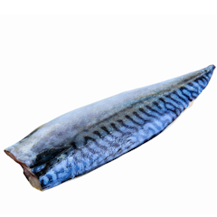 挪威鯖魚一夜干