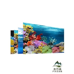 雙面水族背景