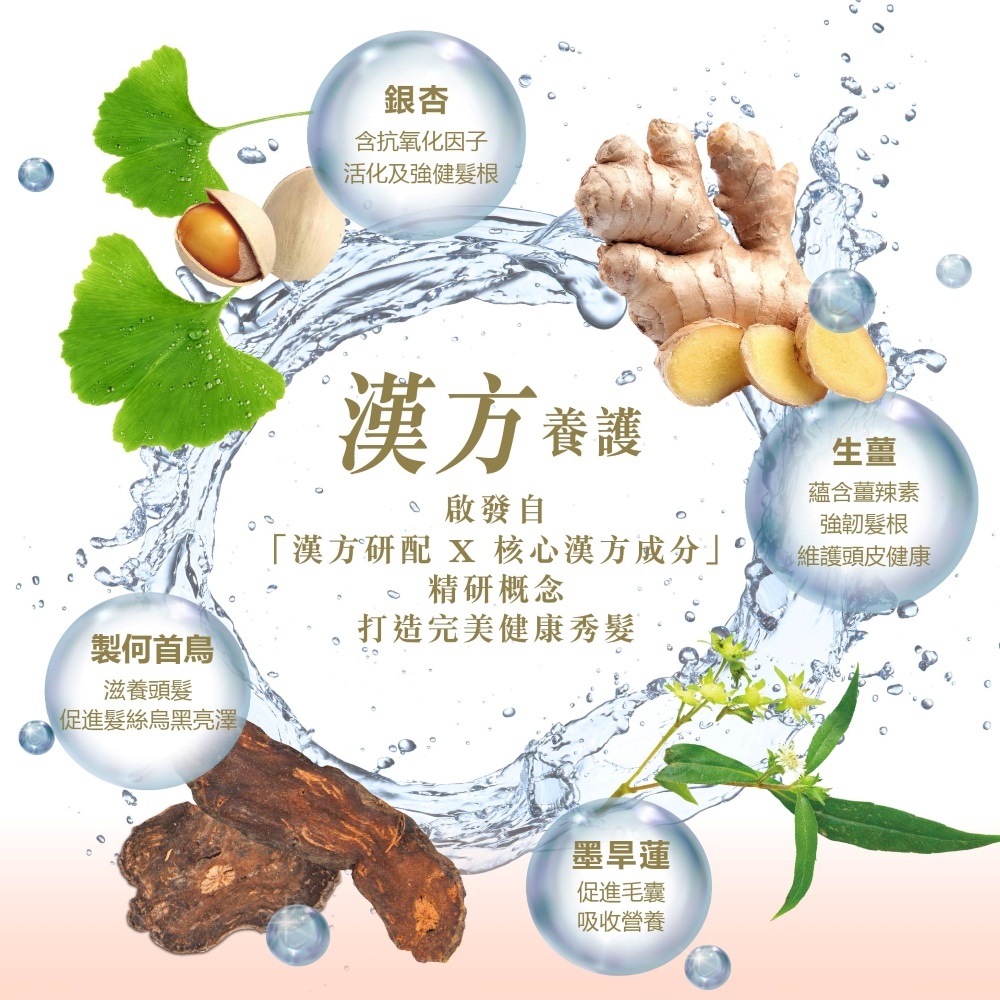 豐盈健髮洗髮乳 漢方製何首烏強韌配方  2