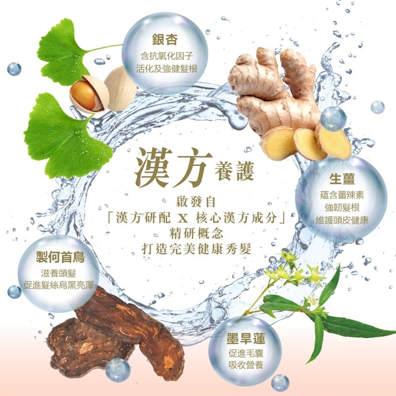豐盈健髮洗髮乳 漢方製何首烏強韌配方 2