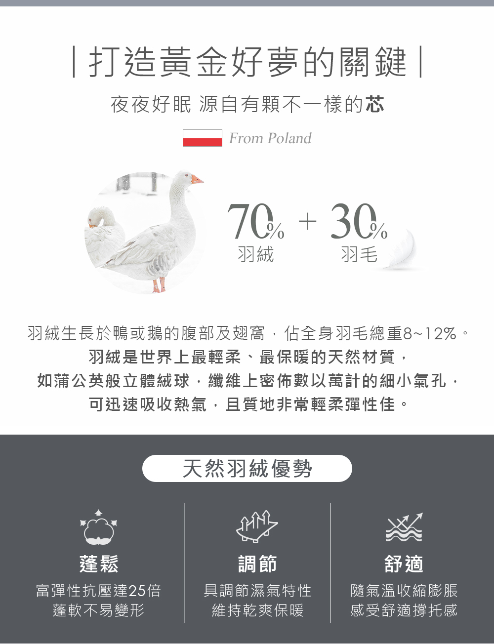 波蘭70D 御藏羽絨枕 3