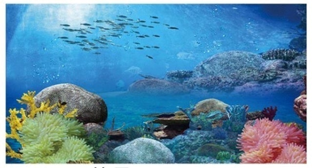 水族背景貼紙 1