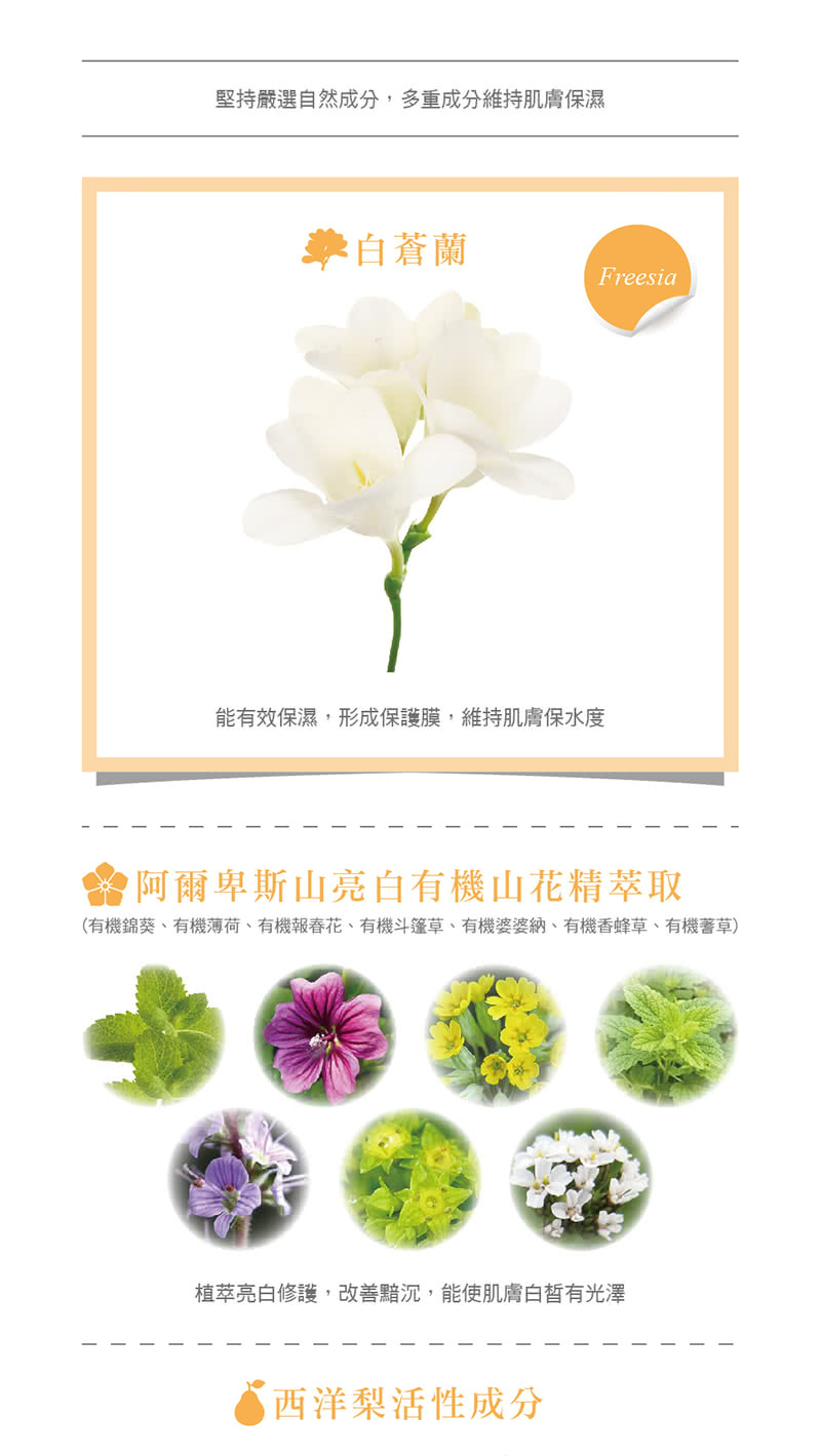 木梨與小蒼蘭保濕嫩白身體乳液 3