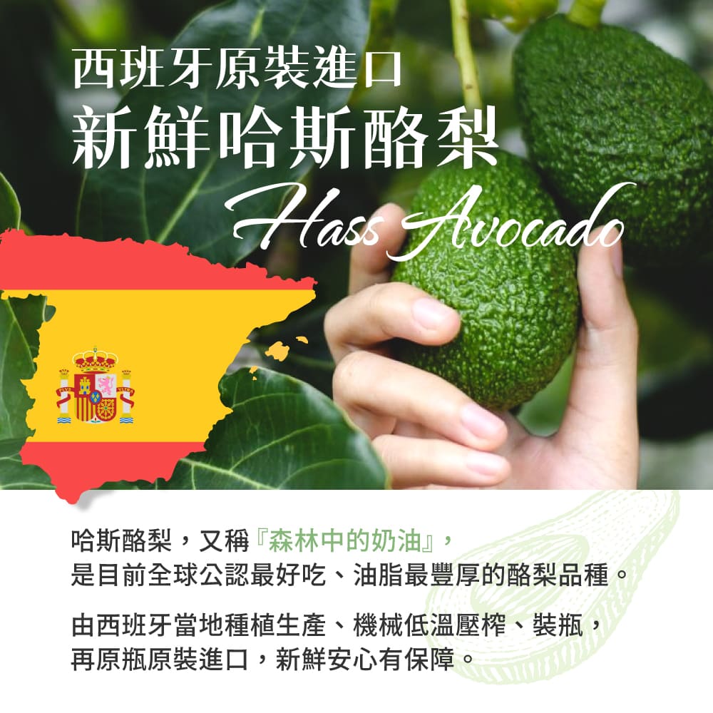 西班牙原裝進口酪梨油 3