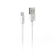 犀牛盾 Lightning to USB-A 傳輸/充電線 1