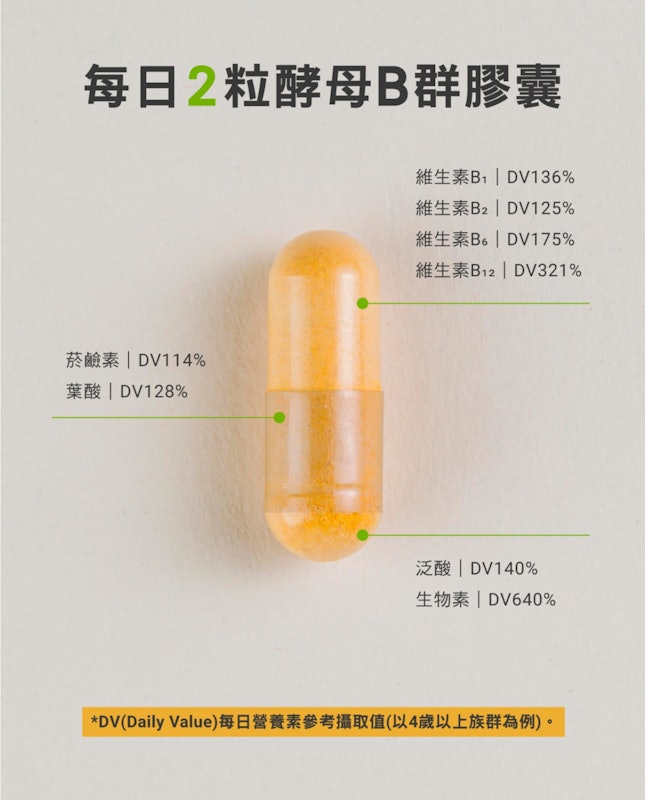酵母B群 2