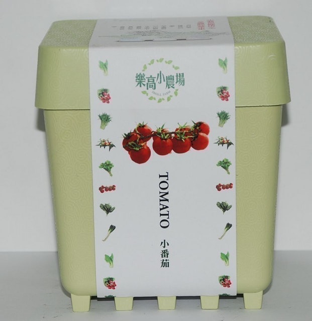 小農場 小蕃茄 1