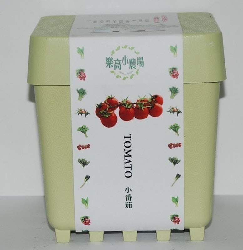 小農場 小蕃茄 1