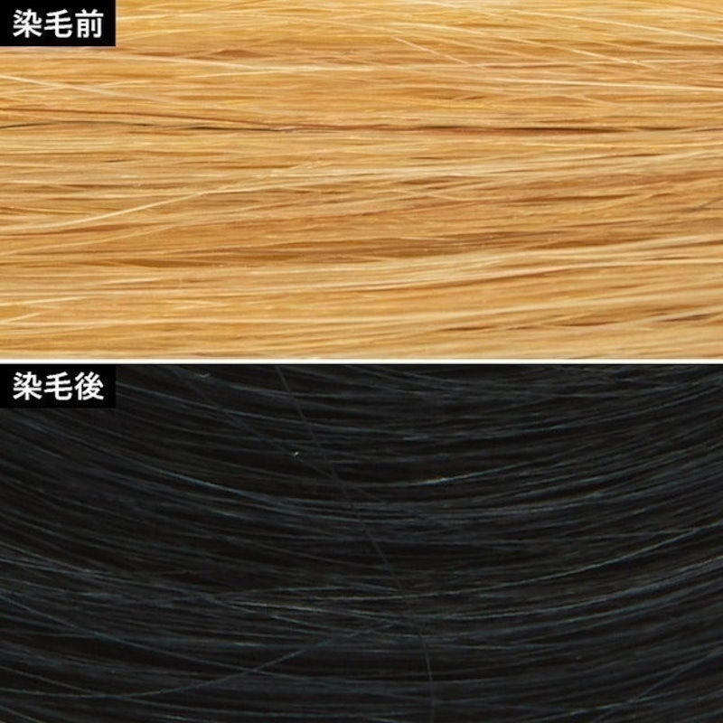 Palty 黑色染髮劑 3