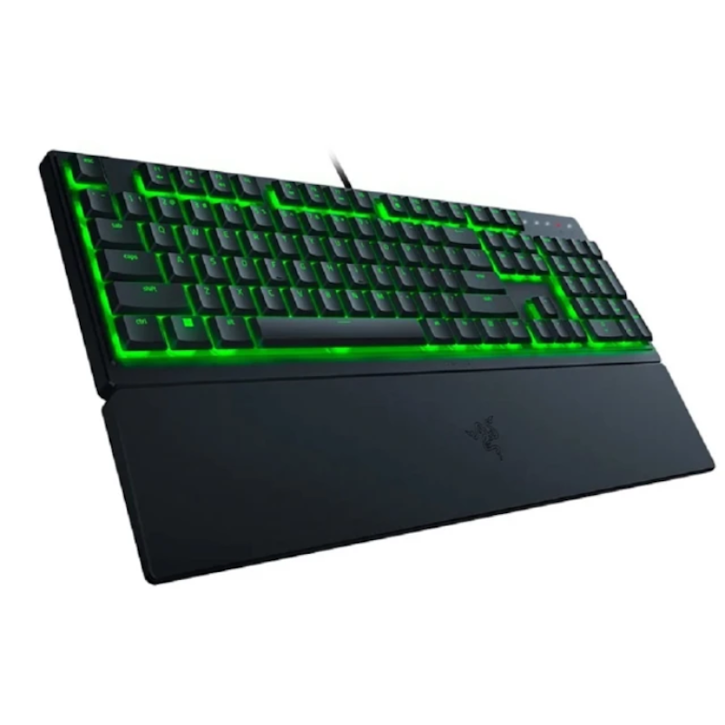 Ornata V3 X 1