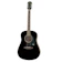 Epiphone 木吉他 1
