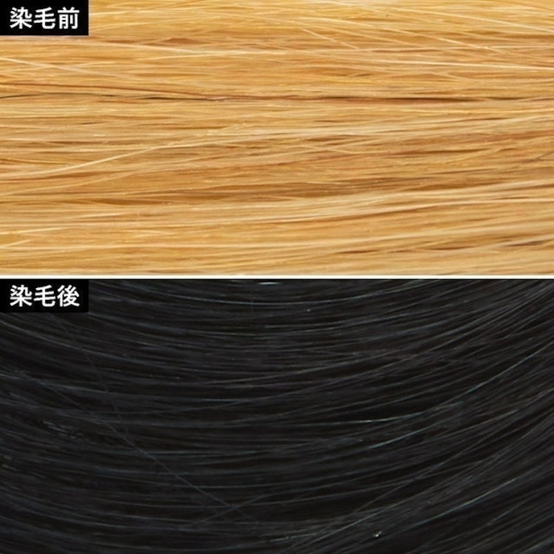 Palty 一週間黑色染髮劑 3