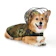 PUSH PUSHI PUDDLE JUMPER系列 狗狗雨衣 1