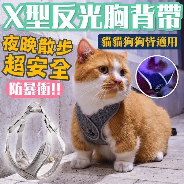 10 大貓用胸背帶推薦排行榜 2