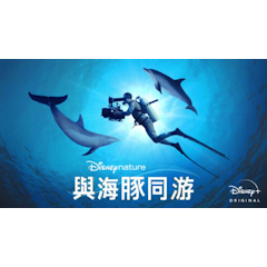 與海豚同遊