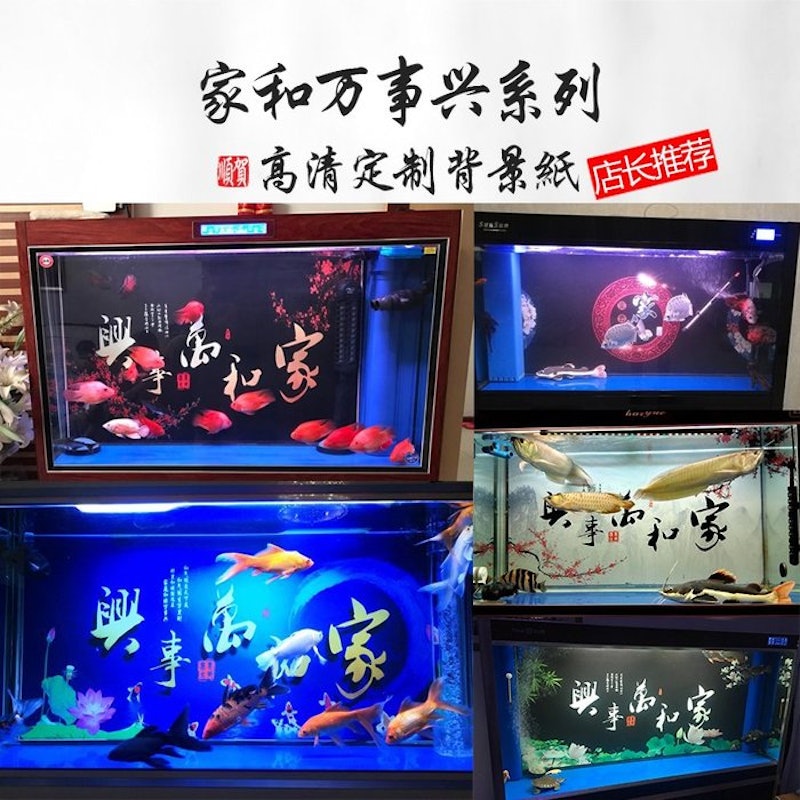 3D立體高清圖水族箱壁紙壁畫家和萬事興 1