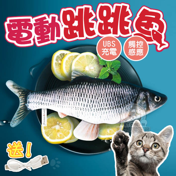 專家監製10 大貓用抱枕推薦排行榜 2