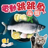 專家監製10 大貓用抱枕推薦排行榜 2