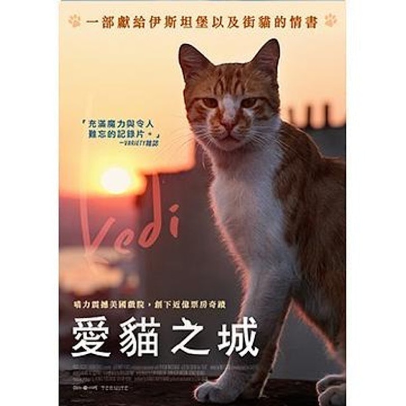 愛貓之城 1