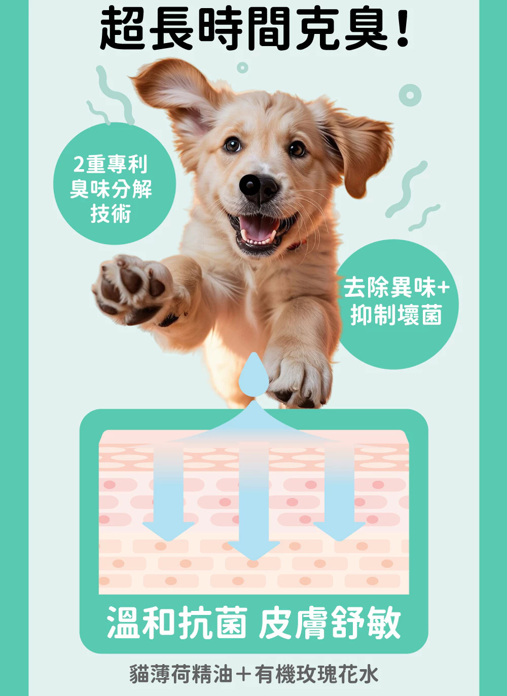  寵物沙龍級香氛洗毛精 4
