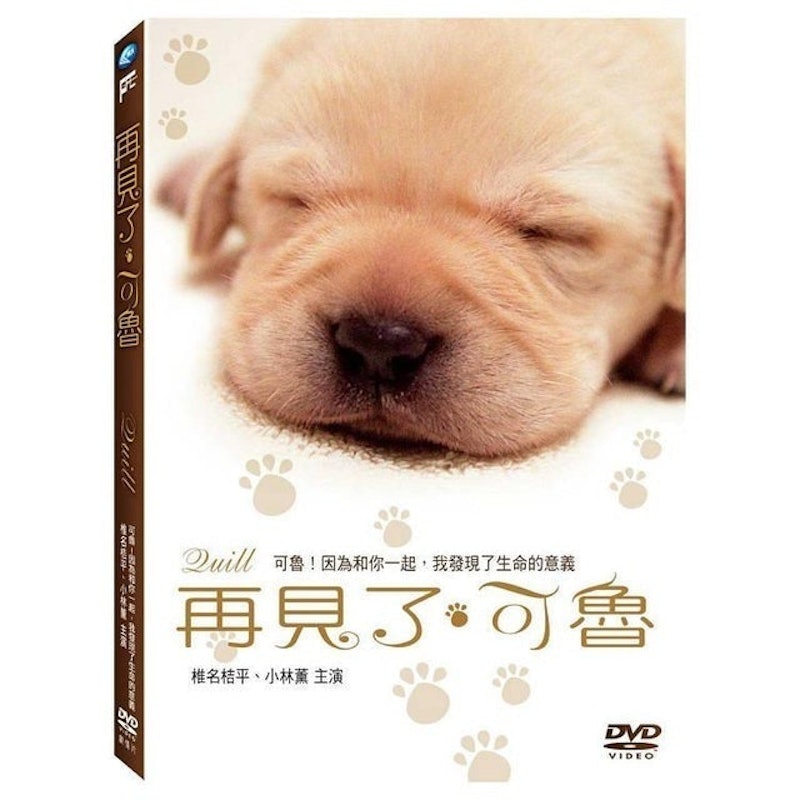 再見了,可魯 1