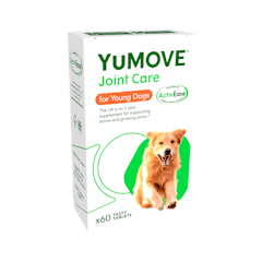 YuMOVE優骼服 活躍犬隻
