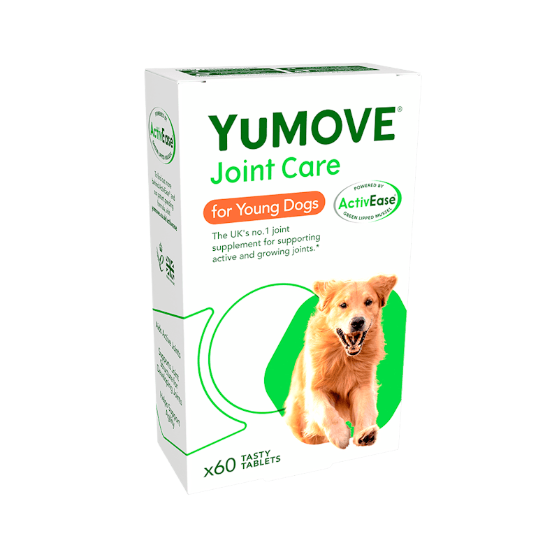 YuMOVE優骼服 活躍犬隻 1
