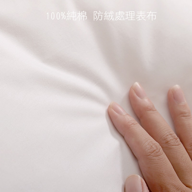 水鳥羽絨枕 3