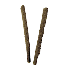 蟲癭果裹木天蓼枝大罐