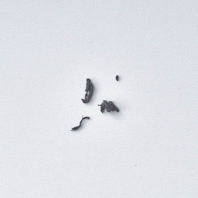 MONO dust CATCH 橡皮擦 7