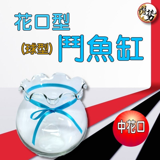 花口型鬥魚缸 中花口 1