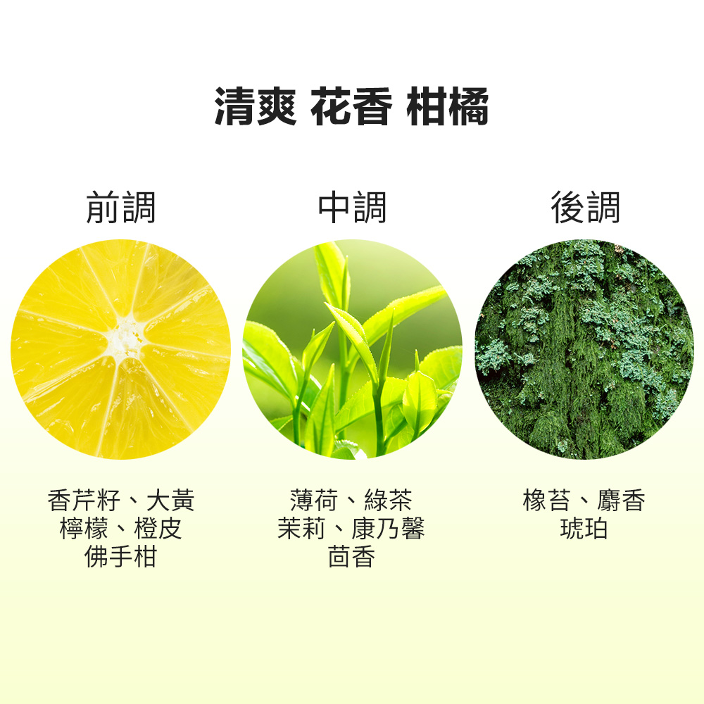 綠茶香水身體乳 2