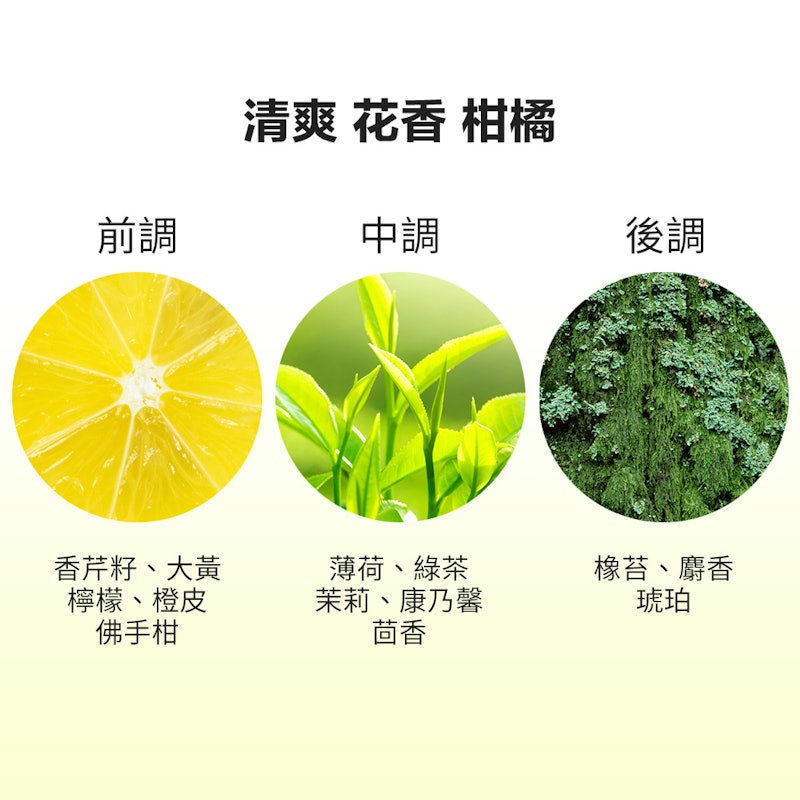 綠茶香水身體乳 2