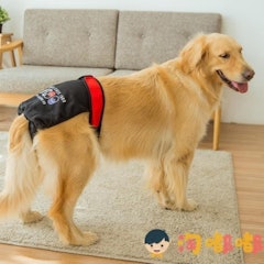 中大型犬寵物生理褲