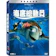 Disney 迪士尼 海底總動員 DVD 1