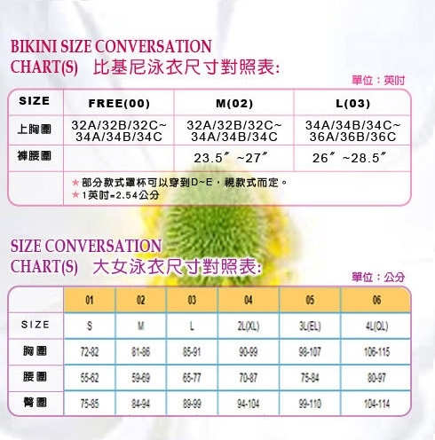 連身三角泳衣 3