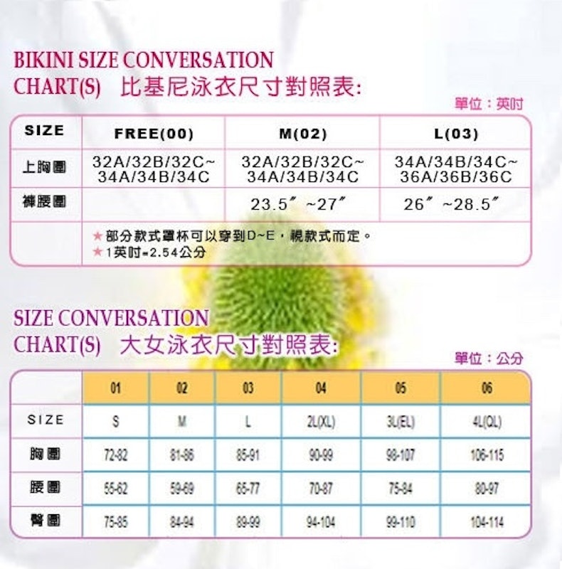 連身三角泳衣 3