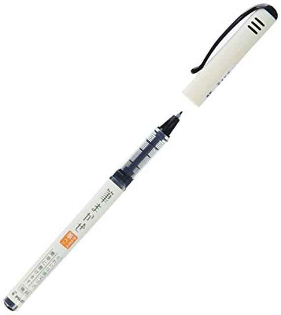 直液式自來水筆 1