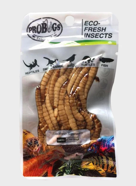 獸醫監製10 大刺蝟飼料推薦排行榜 3