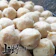 上野物產 脆爽可口台灣鱈魚丸 1