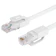 PowerSync群加 UTP 網路線 1
