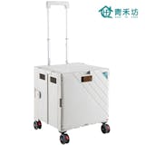 10 大菜籃車推薦排行榜 4