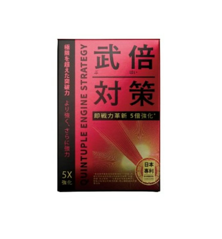 武倍對策 1