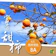 FUFRUITS 東勢高山富有甜柿 1