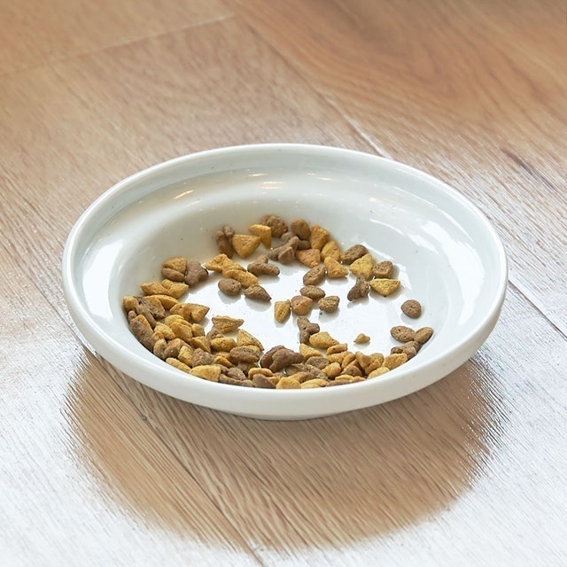 日本製瀨戶燒 貓咪吃飯神器食碟 M 3