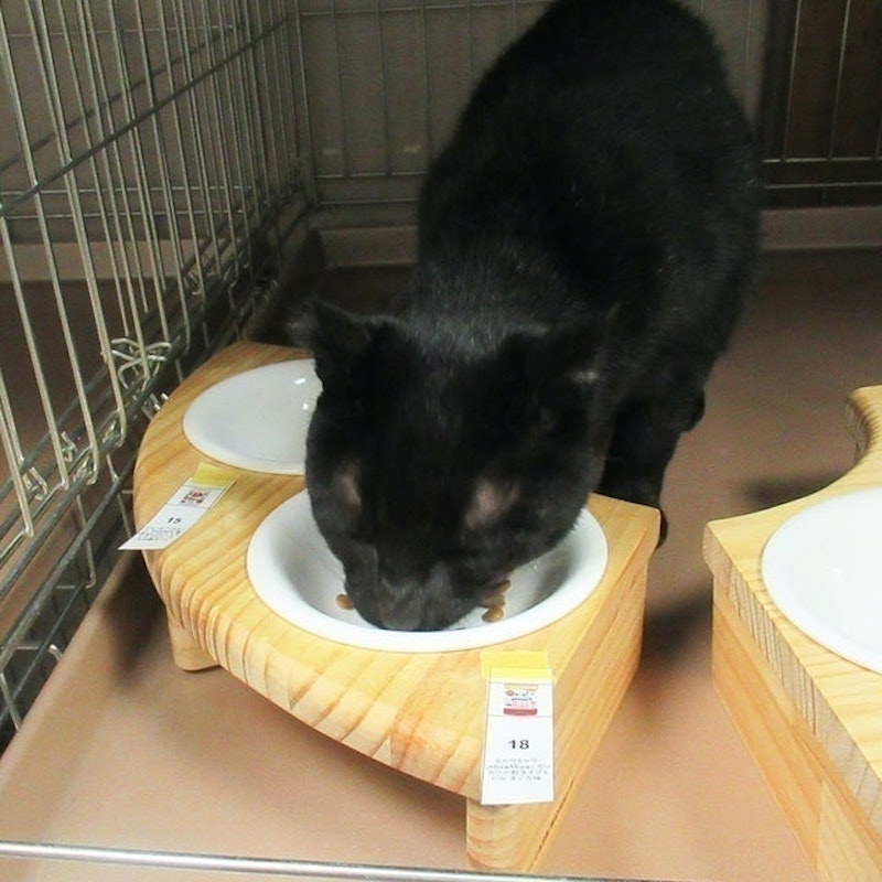 Miaw Miaw酥脆小顆粒飼料 鮪魚風味 9