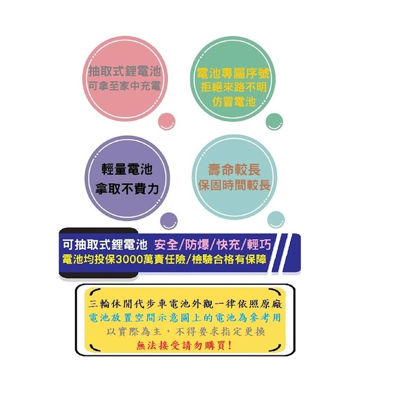 路寶雙人電動三輪休閒車 4